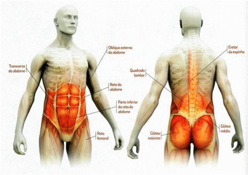 Cuidados para prevenir crises de hérnia de disco